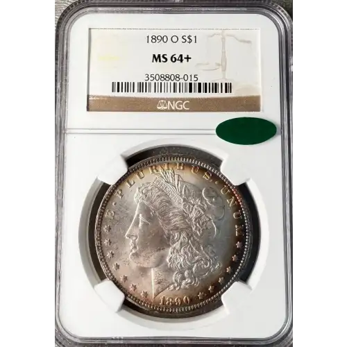 Morgan Silver Dollar