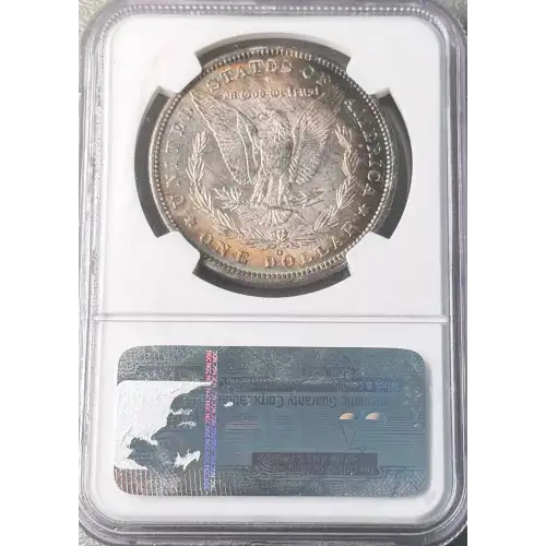 Morgan Silver Dollar