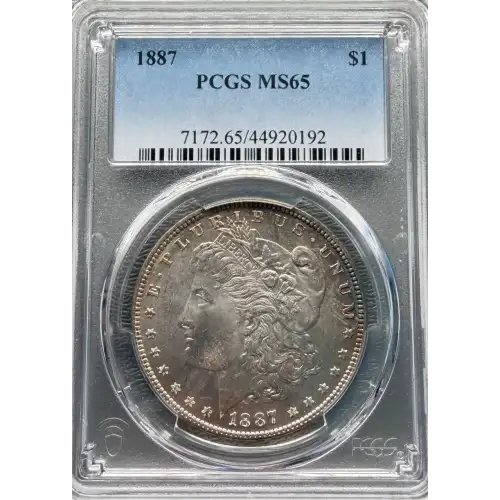 Morgan Silver Dollar