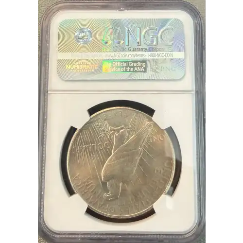 Peace Silver Dollar