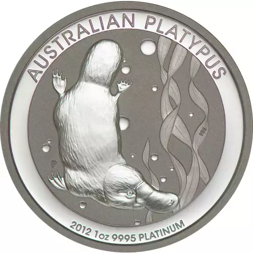 (Random Year) 1oz Australian Perth Mint Platypus .9995 Platinum Coin (2)