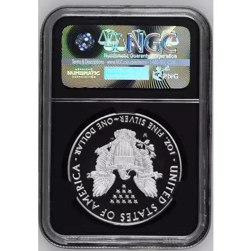Silver Eagles (3)