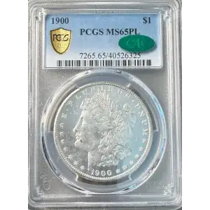 Morgan Silver Dollar